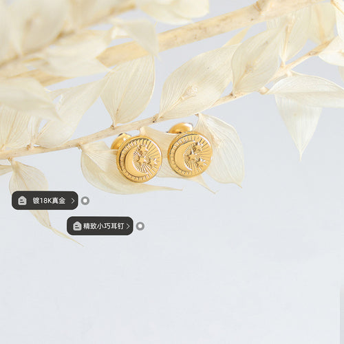 Pair of gold moon star studs among dried white leaves