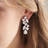 Silver Leaf