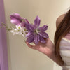 Purple Lily