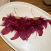 Burgundy Feather