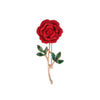 Red Rose