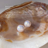 16mm Pearl