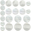 White Shell 1