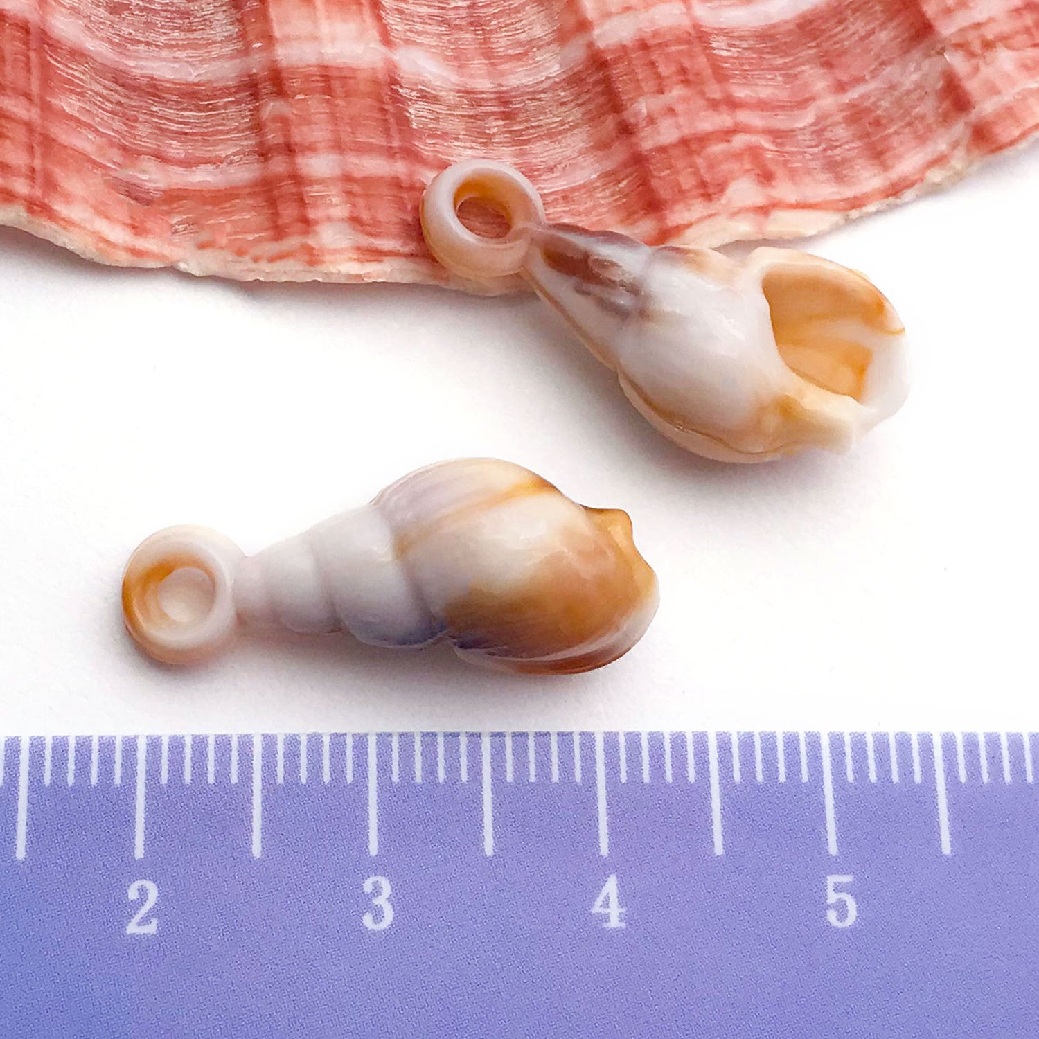 Acrylic Conch Shell Charm Pendant for DIY Keychain Necklace Jewelry Making