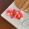 Pink Orchid