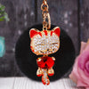 Red-Cat Black-Pom