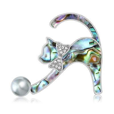 Abalone shell cat shown from the front