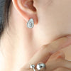 Steel Earrings