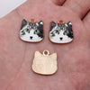 Gray Tabby
