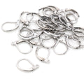 D Shape Stainless Steel Leverback Earring Hooks in Three Finishes view 2