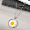 Small White Daisy