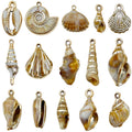 Brown Seashell and Starfish Shell Charms with 81 Listed Options view 8