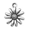 Gray Daisy