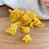 Yellow Cascade