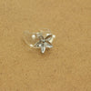 Clear Starfish