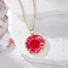 Magenta Daisy