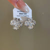 Clear Earrings