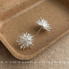 Silver Dandelion