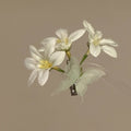 White Fabric Lily Green Butterfly Duckbill Hair Clip Single view 3
