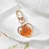 Orange Daisy