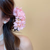 Pale Pink Orchid