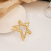 Gold Star Clip