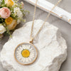 White Daisy