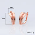 Curved Double Bar Hoop Earrings in Rose Gold Tone with Clear Crystal Details view 5