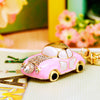 Plain Pink-Princess-Car