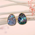 Gold Tone Irregular Abalone Shell Drop and Stud Earrings view 4