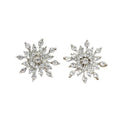 Silver Snowflake Clear Look Statement Stud Earrings view 5