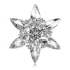 Silver Snowflake