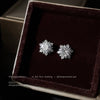 Silver Snowflake