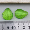 Gray Shell