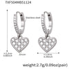 Steel Earrings