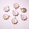 Pale Pink Daisy
