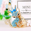 Blue Crown-Fox