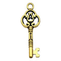 Antique Gold Tone Skeleton Key Charms in Twenty Designs view 9