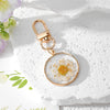 White Daisy