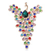 Multicolor Peacock