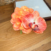 Orange Orchid