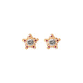 Colorful Star Outline Clear Look Center Stud Earrings view 5