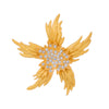 Gold Starfish