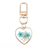 Aqua Heart