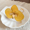Yellow Orchid