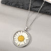 Large White Daisy