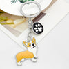 Corgi & Paw