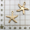 White Starfish