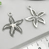 White Starfish 1