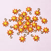 Orange Daisy